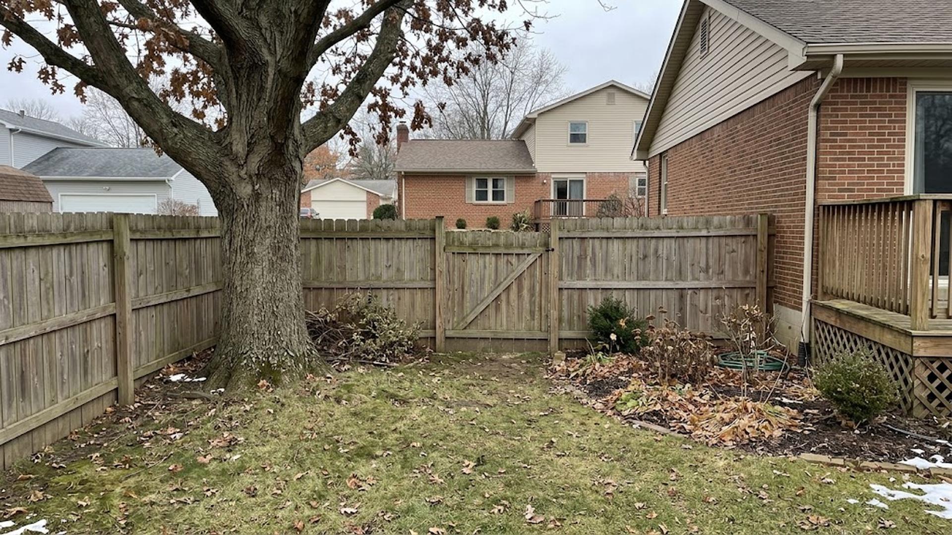 Tree beside a shared wooden fence with a narrow backyard gate