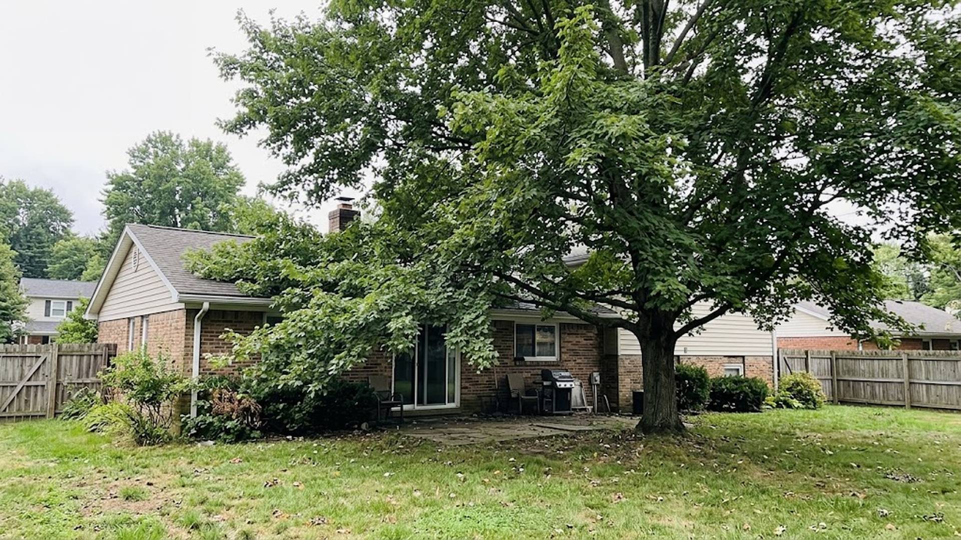 Residential tree canopy near a roof and patio