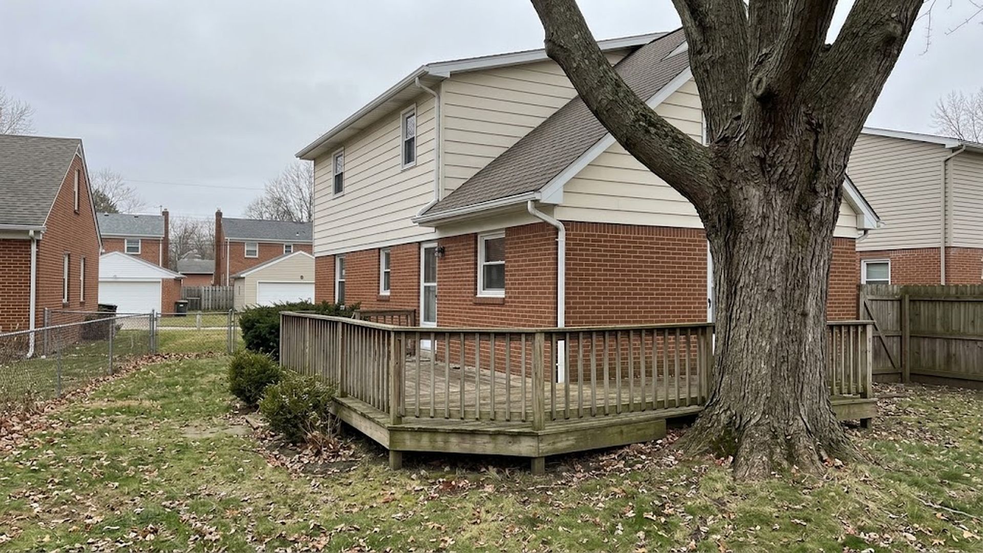Mature tree close to a house and deck, showing limited working space