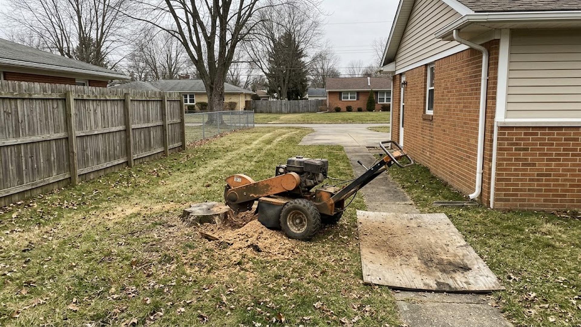 Stump grinder at an old stump in a residential lawn with clear yard access