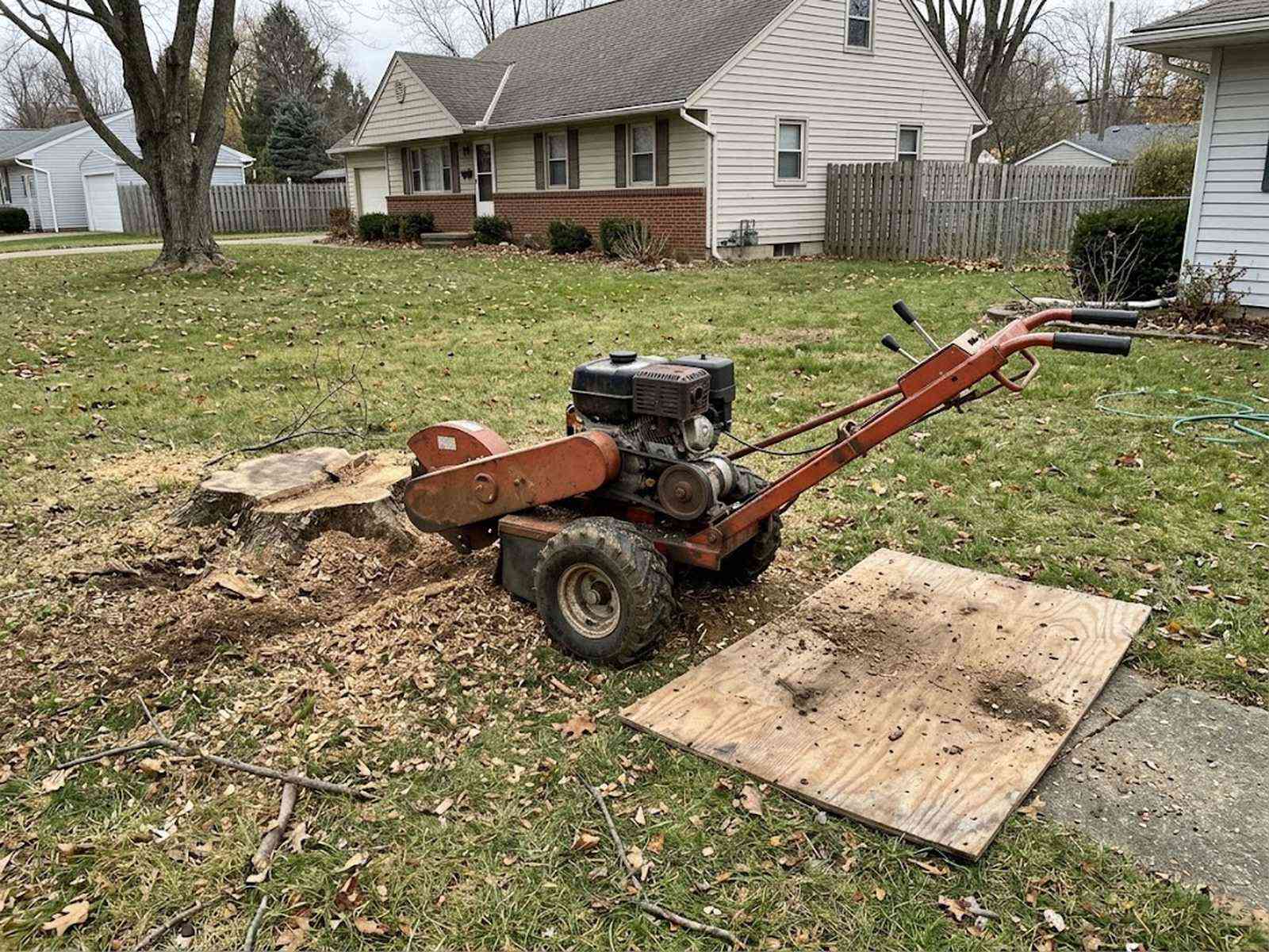 Stump grinder mid-cut in a residential yard, wood chips and walkway clear